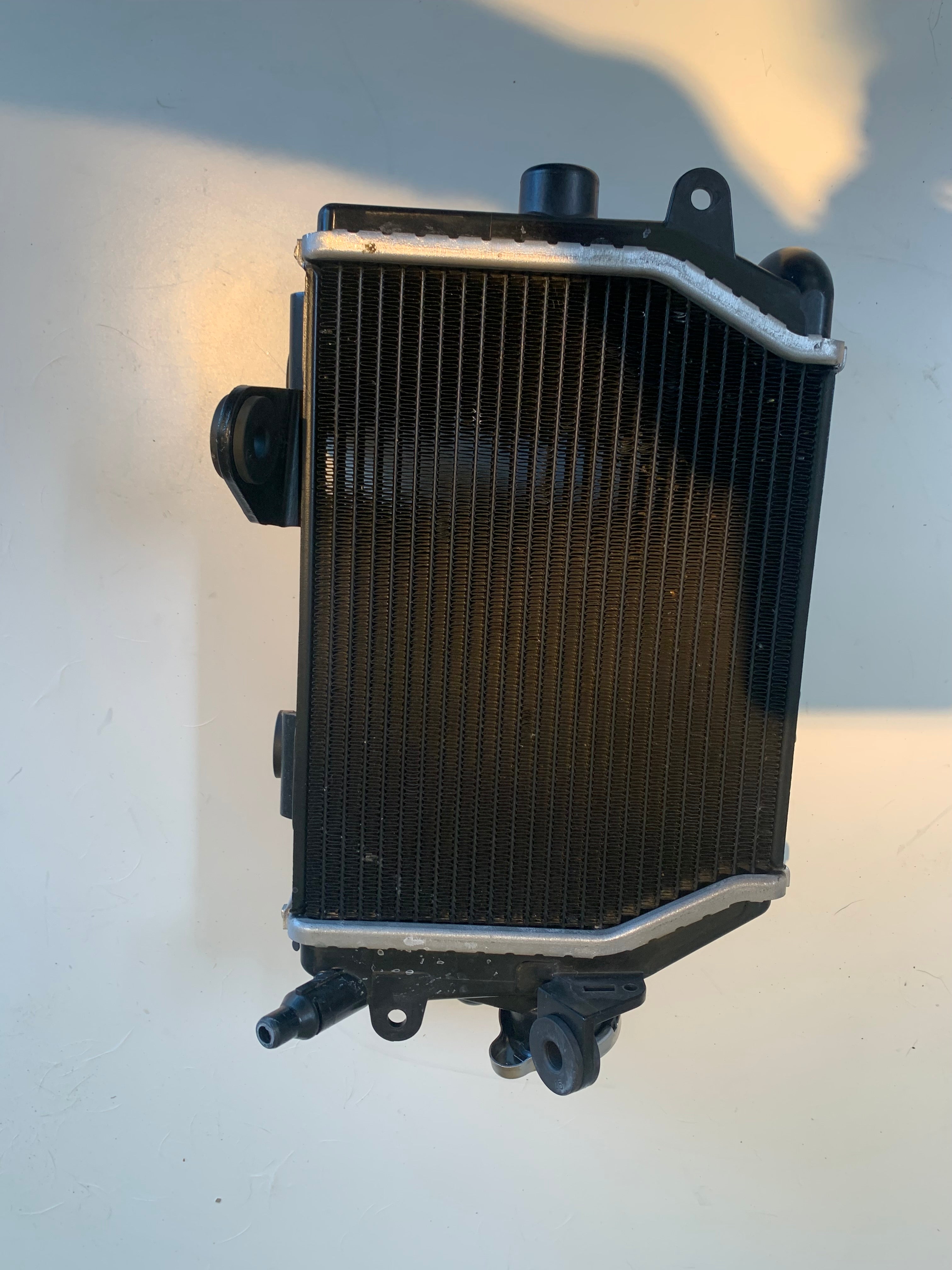 RADIADOR R1300GS  BMW